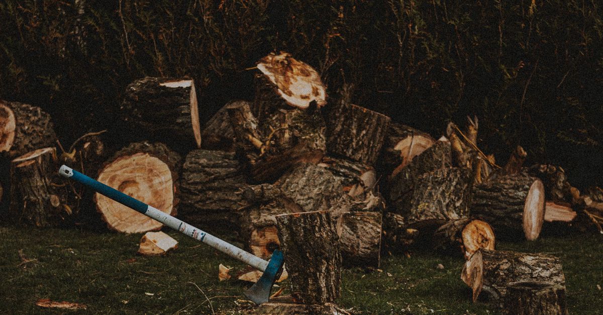 Best Practices for Transitioning from Old to New Trees