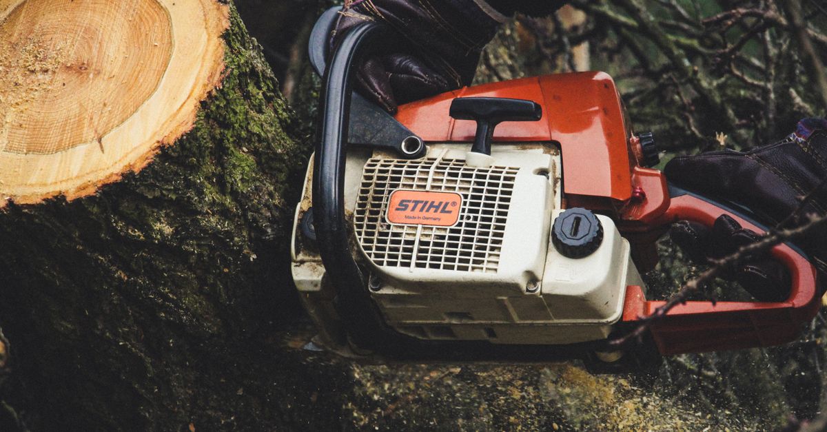 Best Practices for Tree Inventory and Management