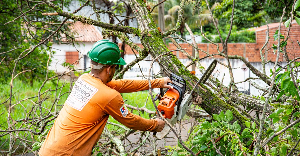 Educating the Public on the Importance of Urban Trees