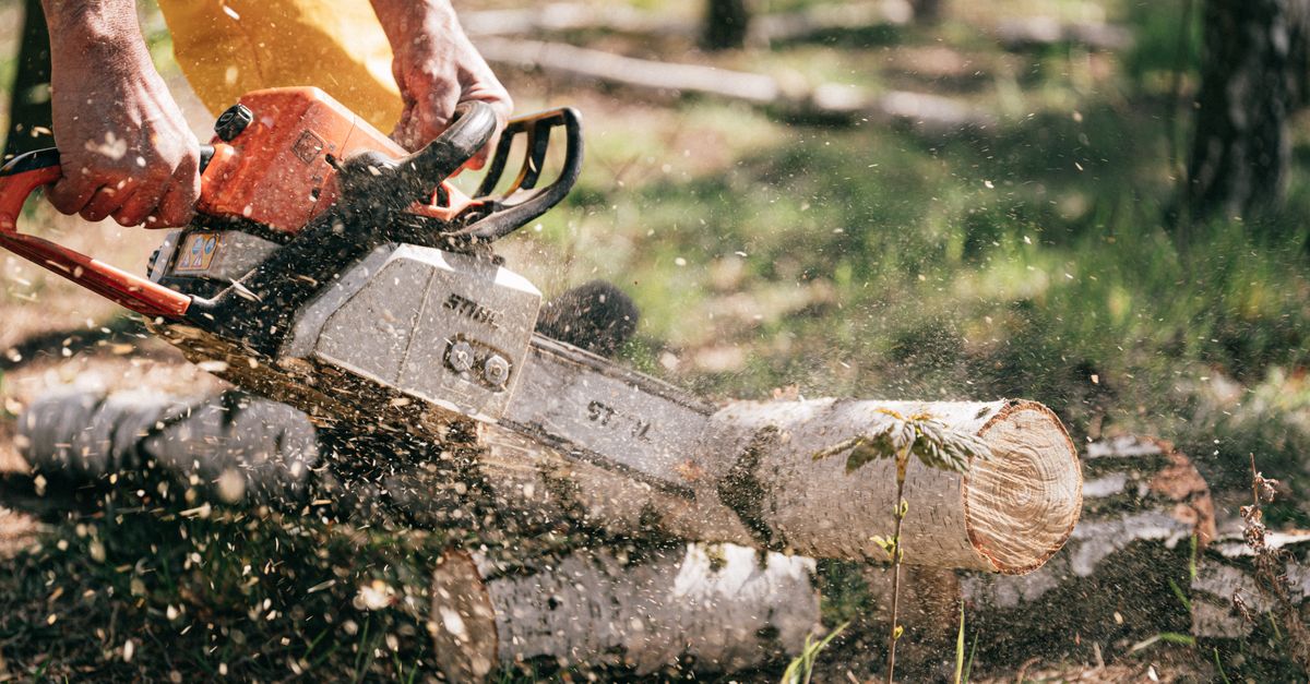 Factors Affecting Stump Grinding Costs in Residential Areas