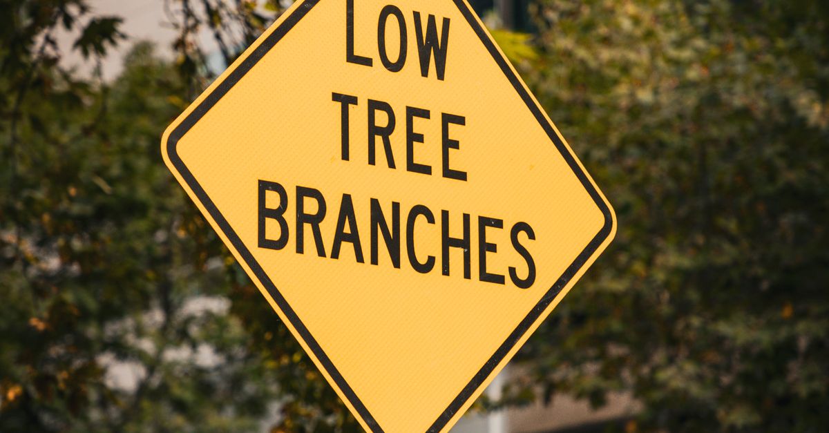 How Pruning Affects the Aesthetic of Commercial Properties