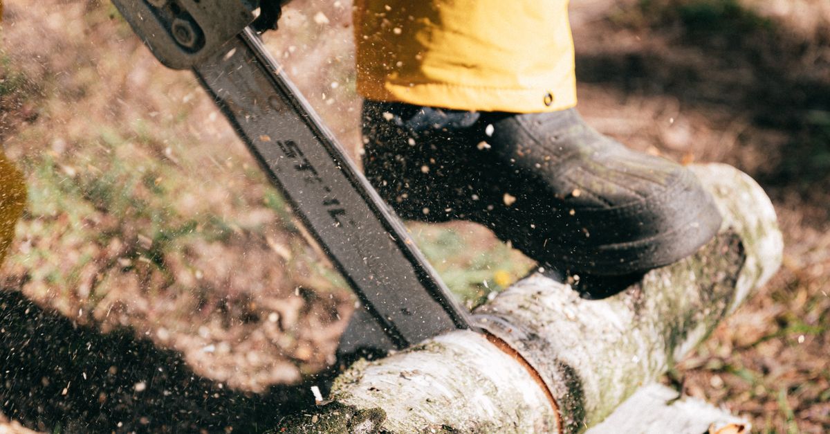 Legal Regulations Governing Tree Removal and Environmental Sustainability