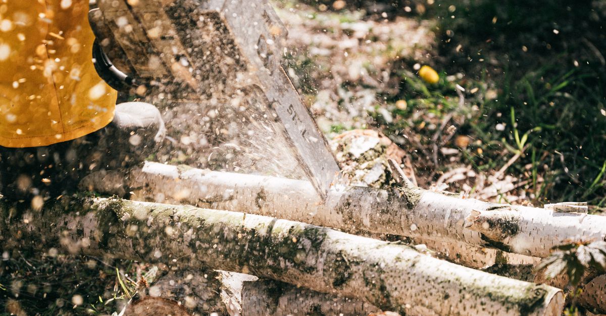 Maintaining Native Species for Urban Sustainability