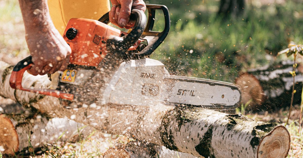 Preparing Your Business for Tree Emergencies: A Comprehensive Guide