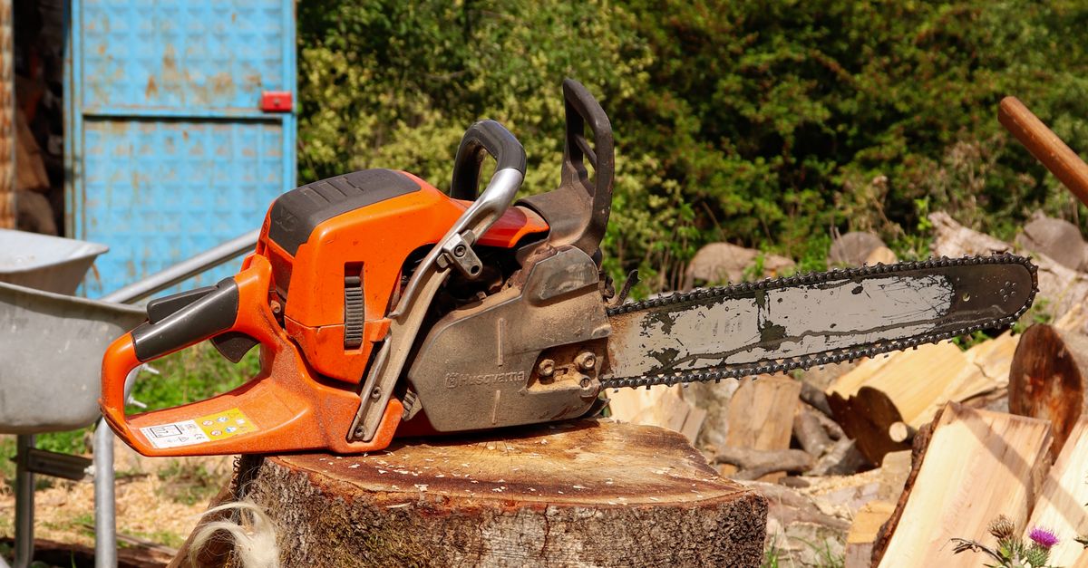 Preparing Your Home for Potential Tree Emergencies