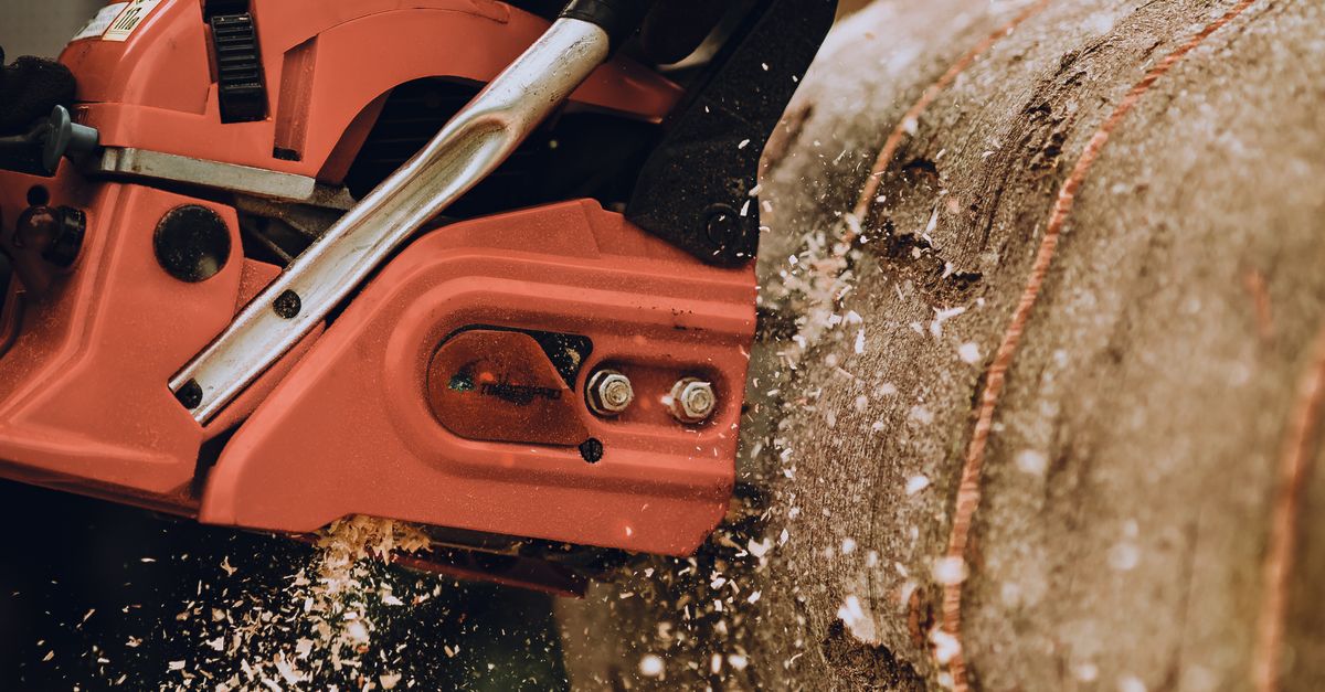 Safety Protocols for Tree Removal in Construction Environments