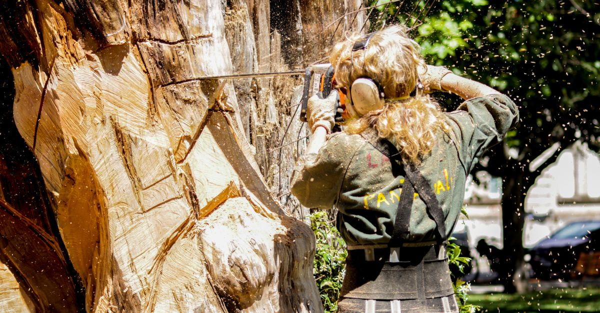 The Role of Arborists in Assessing Tree Hazards